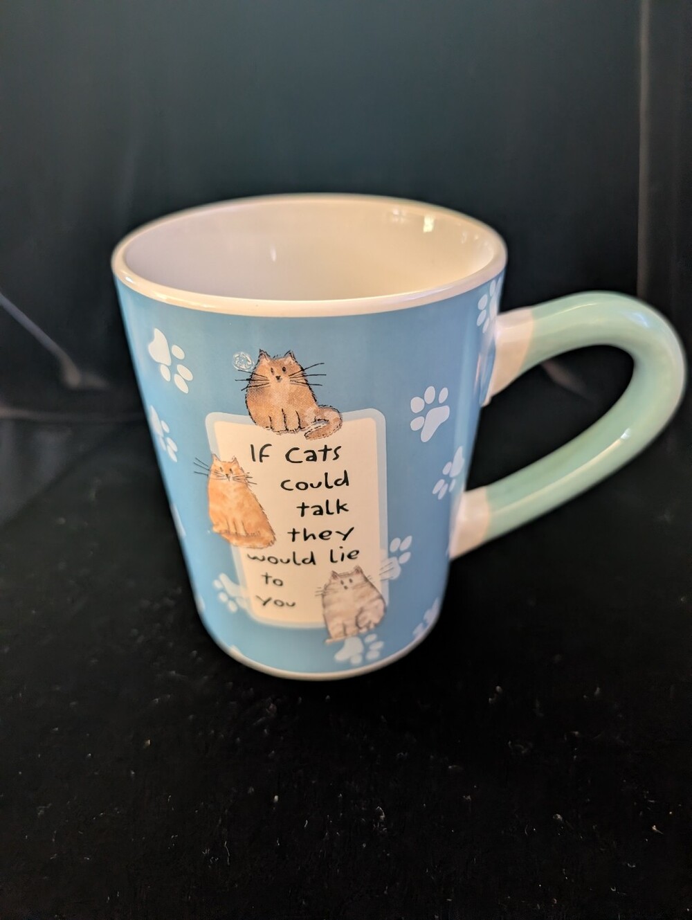 Enjoy Life Blue Cat Paw Ceramic Mug - 'If Cats Could Talk'